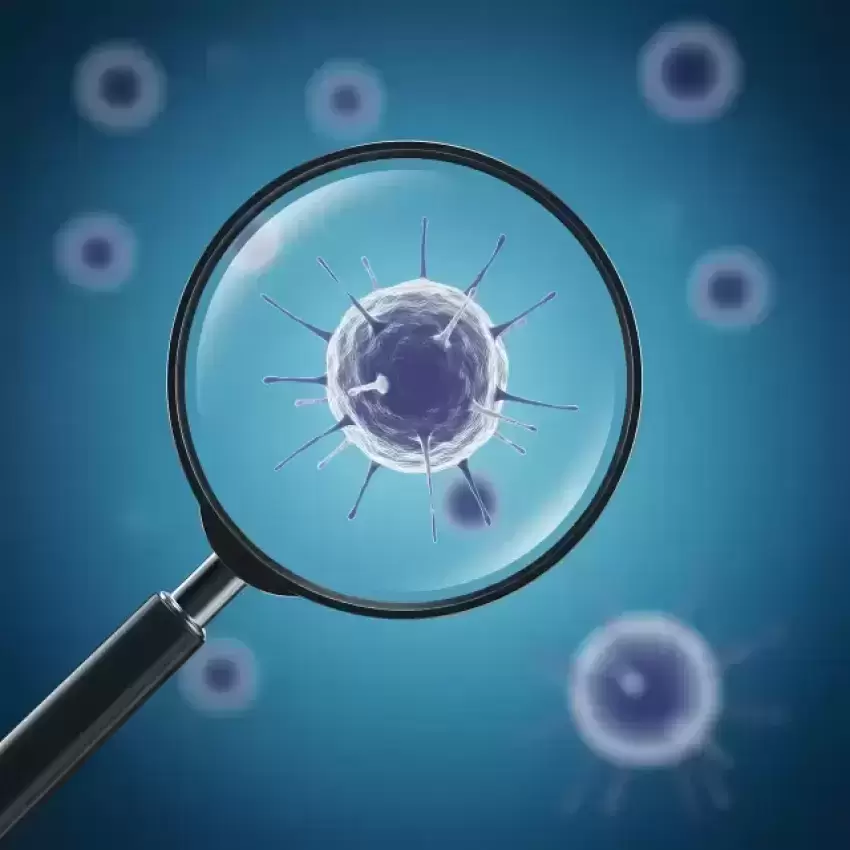 Magnified Cancer Cells Medical Screening Illustration