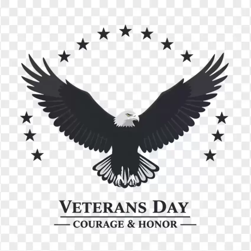 Veterans Day Eagle Symbol of Strength PNG