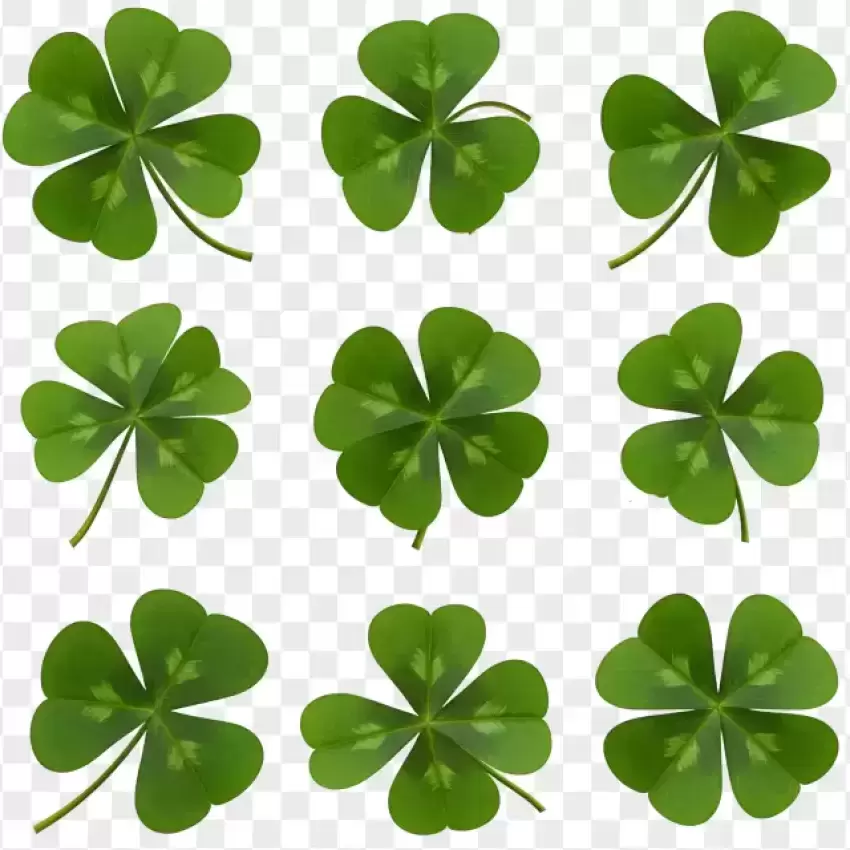 Green Four Leaf Clovers Set PNG