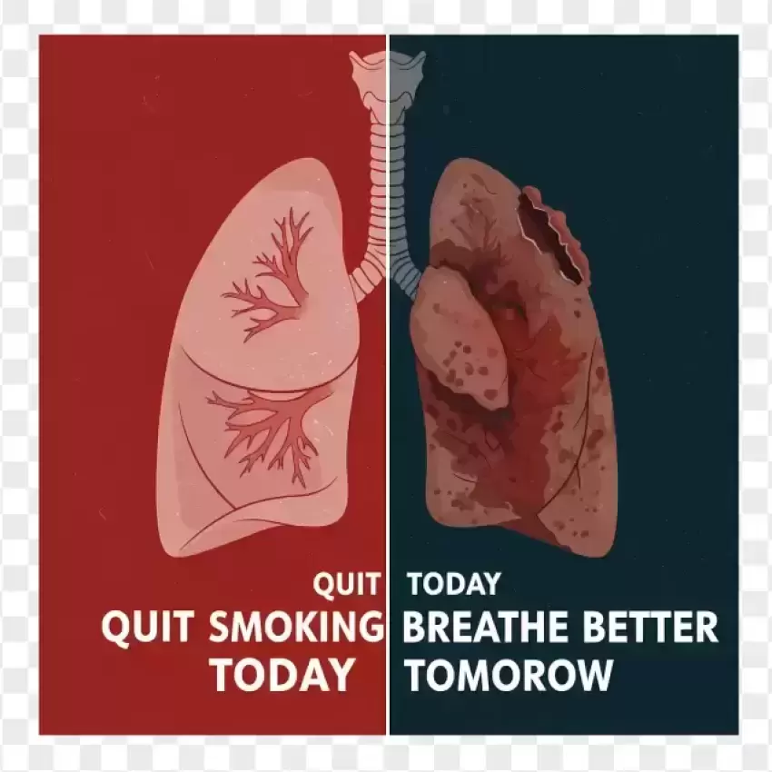 Quit Smoking Lung Comparison Poster PNG